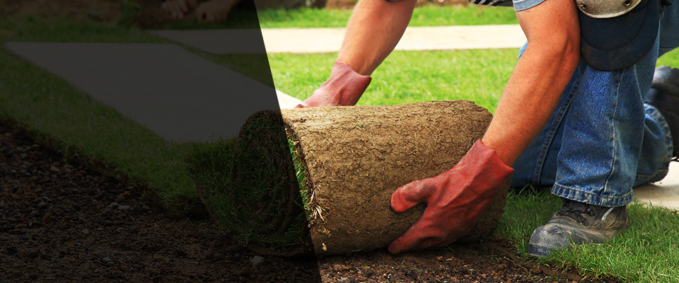 Fort Riley Landscapers